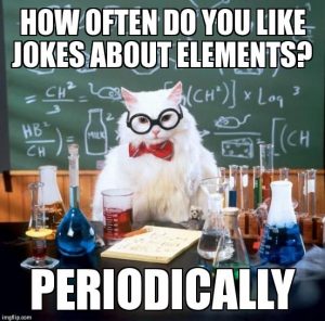 cat_meme