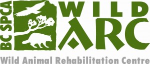 wild-arc-logo