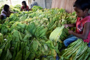 PHILIPPINES-HEALTH-POLITICS-TOBACCO