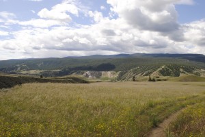 _DSC0148