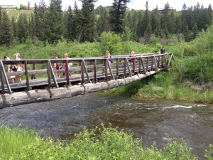 image (5)