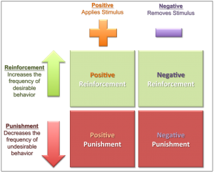 Operant Conditioning (1)
