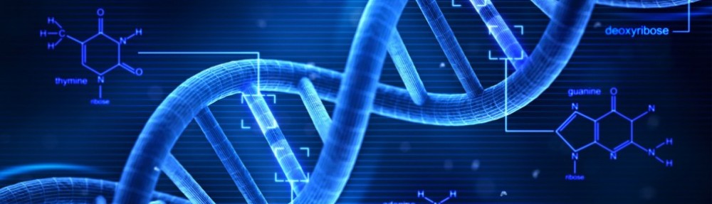 Gene Regulation in Development