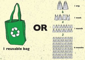 reusable-bag