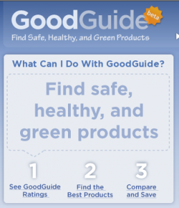 The-Good-Guide