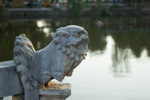 _MG_9216-2