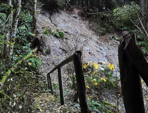 Millstream Trail closure in West Vancouver due to a landslide. Source: http://www.nsnews.com/news/west-vancouver-closes-millstream-trail-after-landslide-1.2113348 