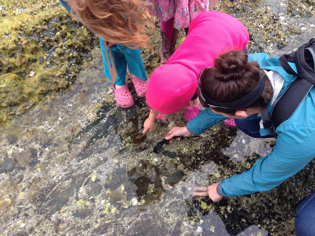 Inspecting tide-pools