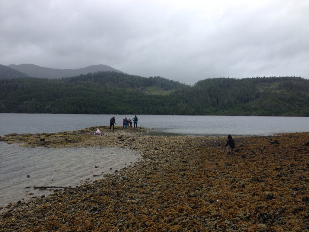 beach-combing