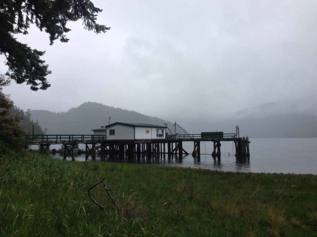 A misty morning in Esperanza