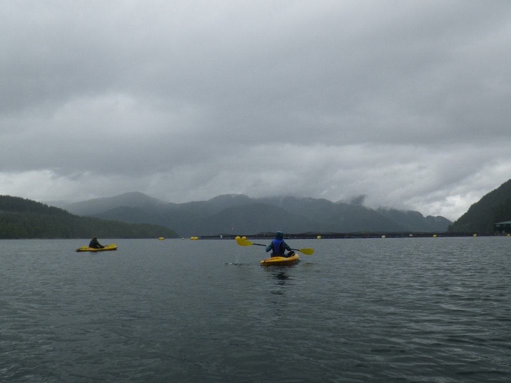 Kayaking near a salmon farm in the rain