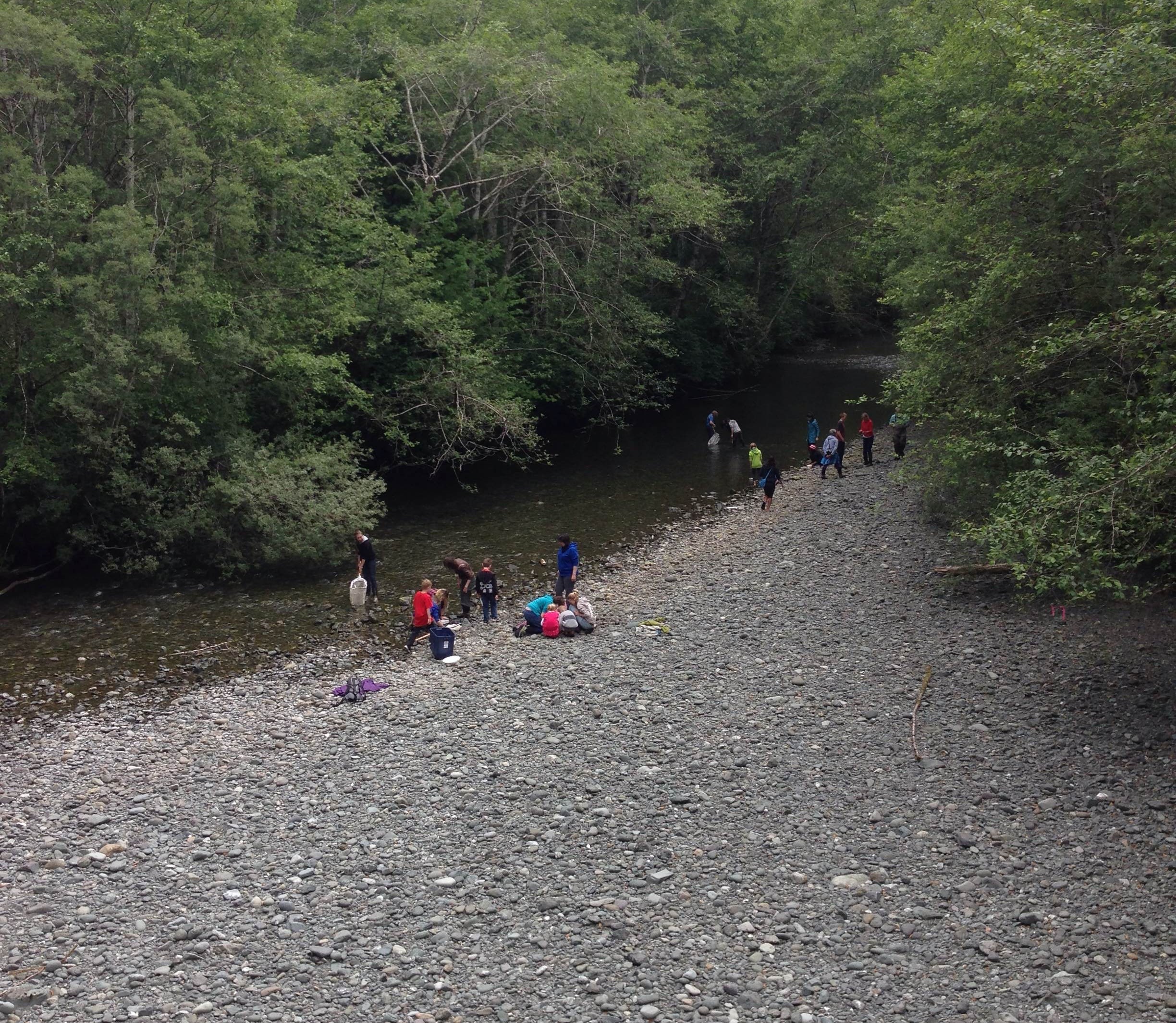 Collecting insects by the creek