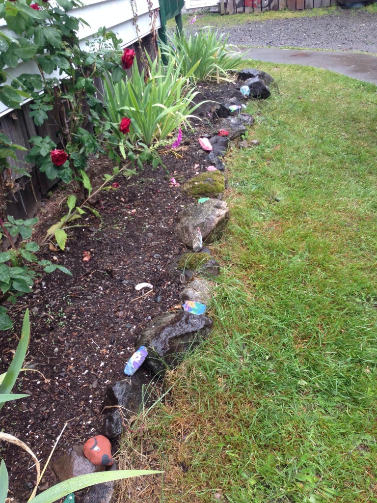 The finished Rock Garden