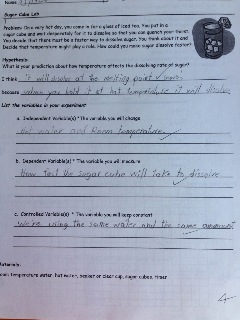 photo4
