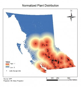 Normal_Plant