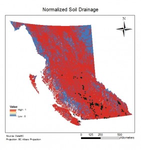 Normal_soil