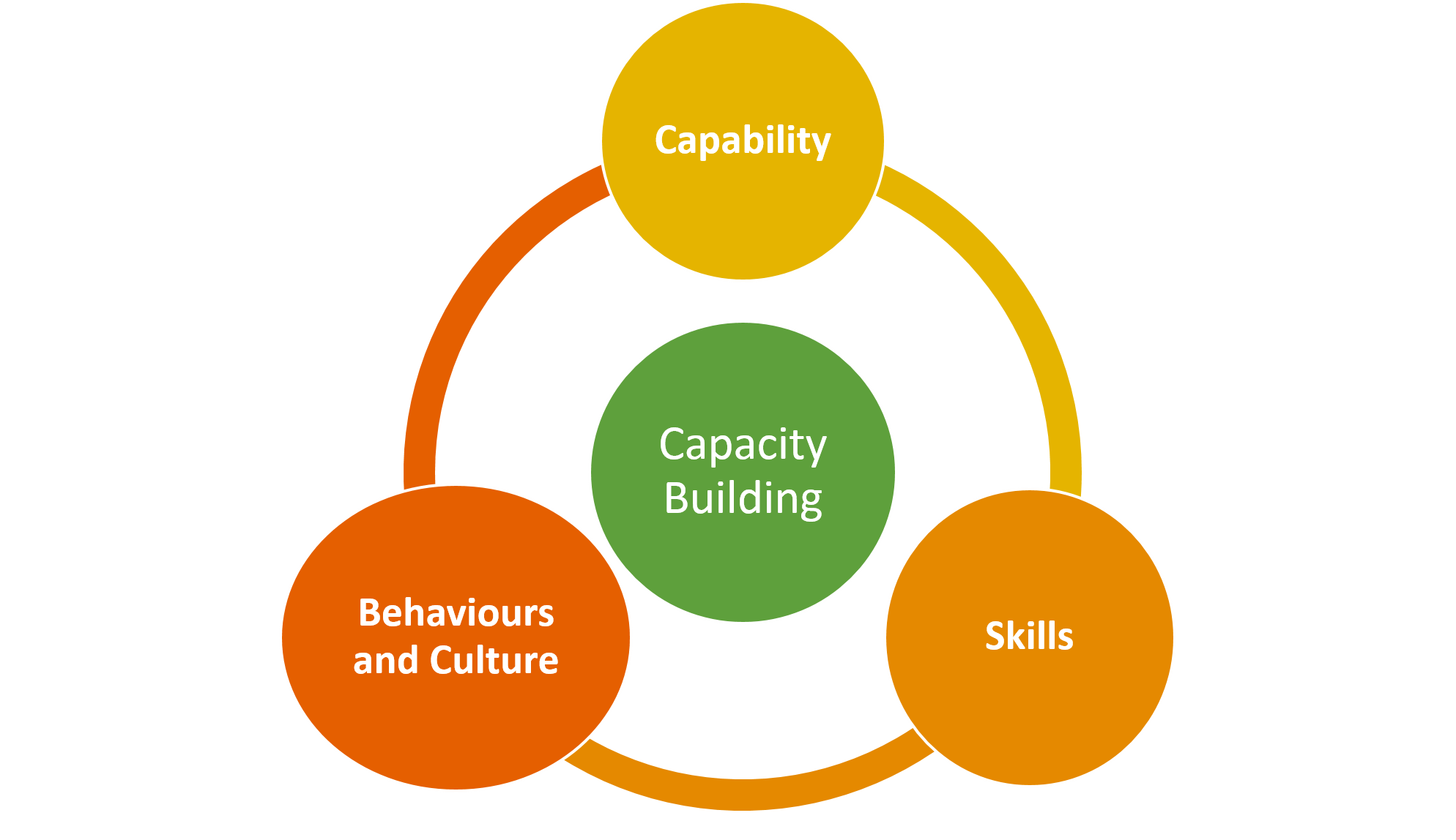 Process capacity. Capacity building. Capability building. Capabilities Development. Capacity capability.