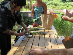 medicine harvest - Indigenous Health Garden at UBC Farm 