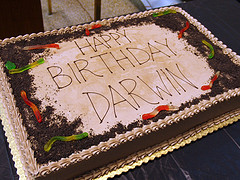 darwincake.jpg