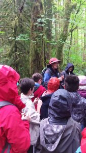 Learning how to make pipes out of scouring rushes. The students were taught that this pipe should be the only souvenir they would take back home from this forest.
