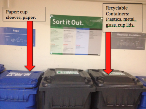 Apartment building communal bins: one bin for paper, one for plastics, metal and glass, identical to the smaller version set up within our kitchen.