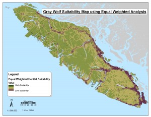 Gray worf equal weighted