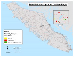 Sensitivity eagles