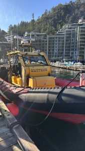 A large search and rescue boat sits by the dock in the marina. The boat has a soft hull and an observation area for crew.