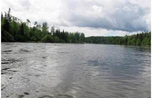 stuart river