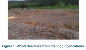 TECHNICAL AND ECONOMIC EVALUATION OF A WASTE TO ENERGY FACILITY THAT WOULD USE WOOD RESIDUES​