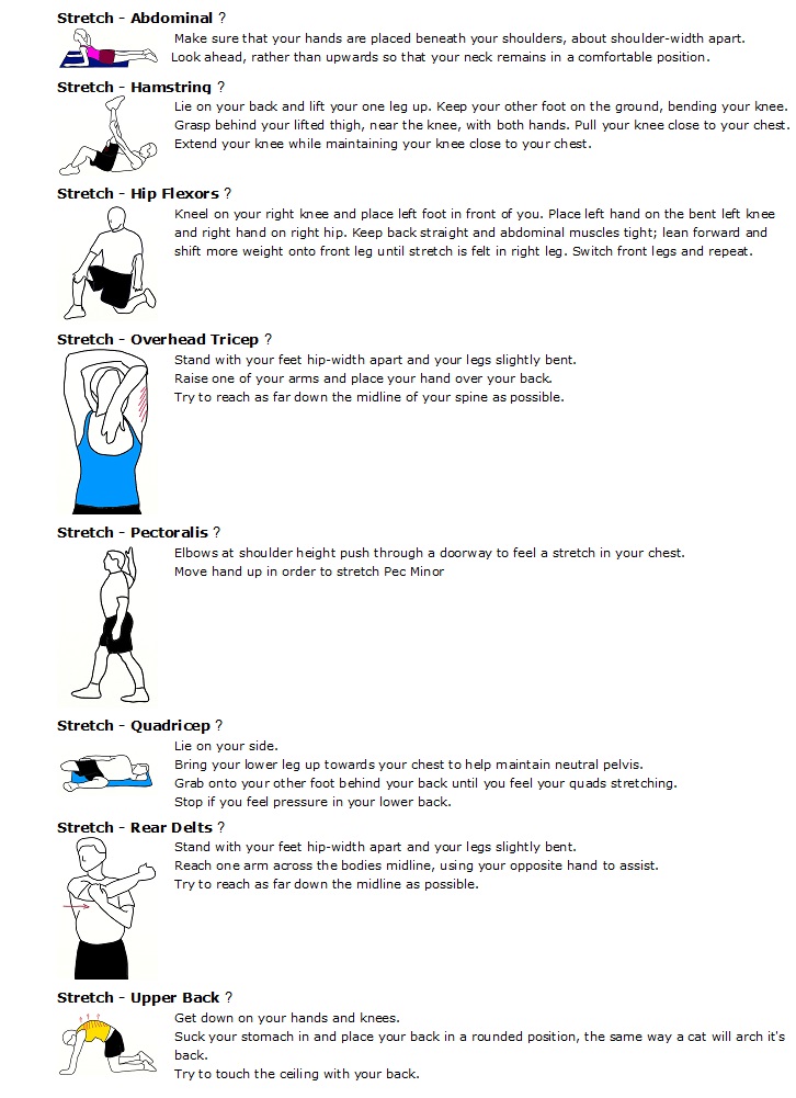 Sample Flexibility Workout | Metastasize Your Health