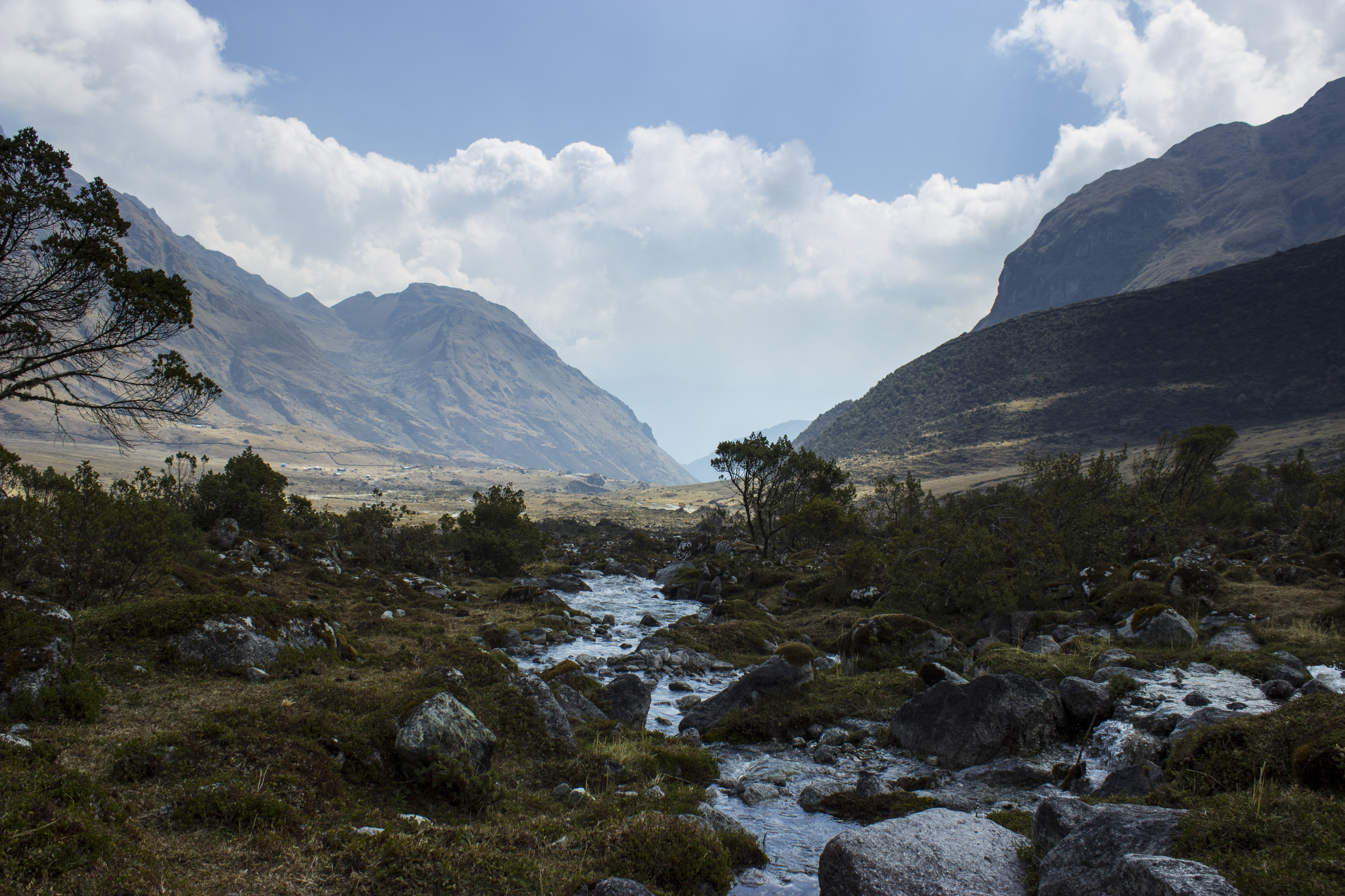 Descending the Salkantay pass into the Cloud Forest.