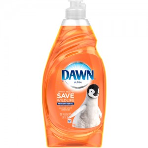 Dawn Soap Bottle 