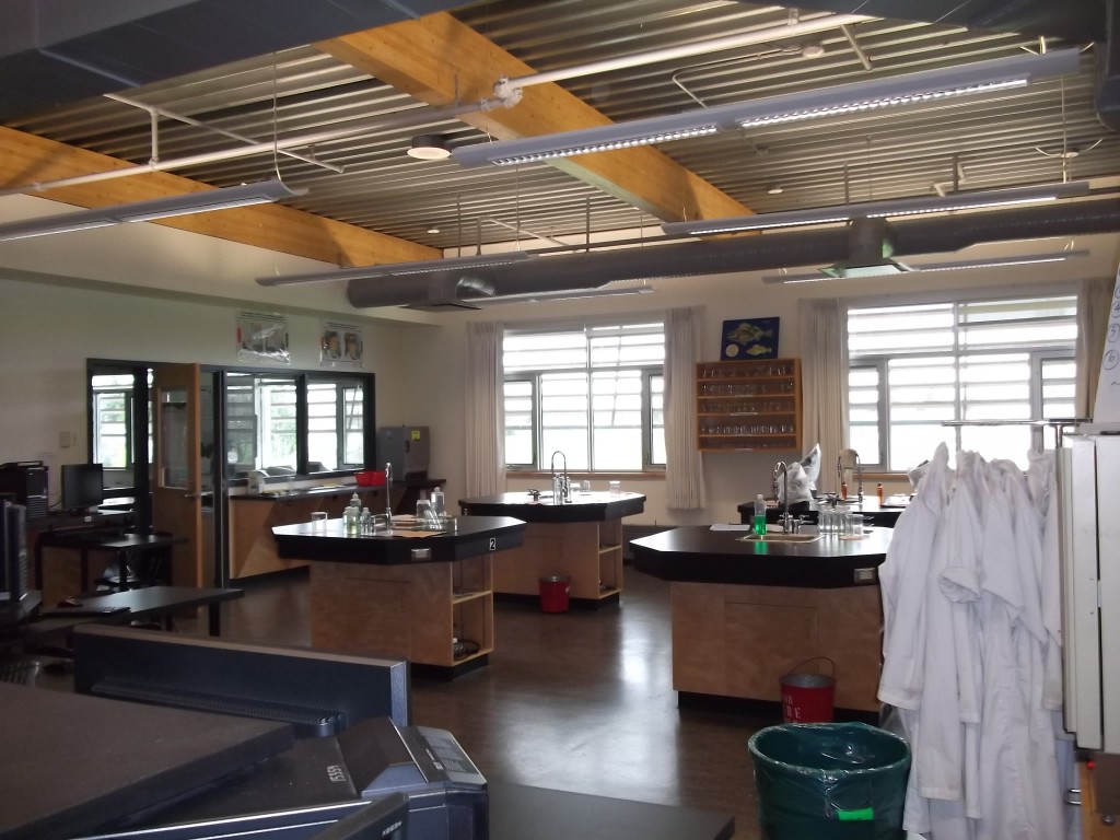 Dr. Marina MilnerBolotin » Blog Archive » A Physics Lab in StevenstonLondon High school in