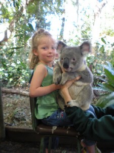 Koala Hugging Vada