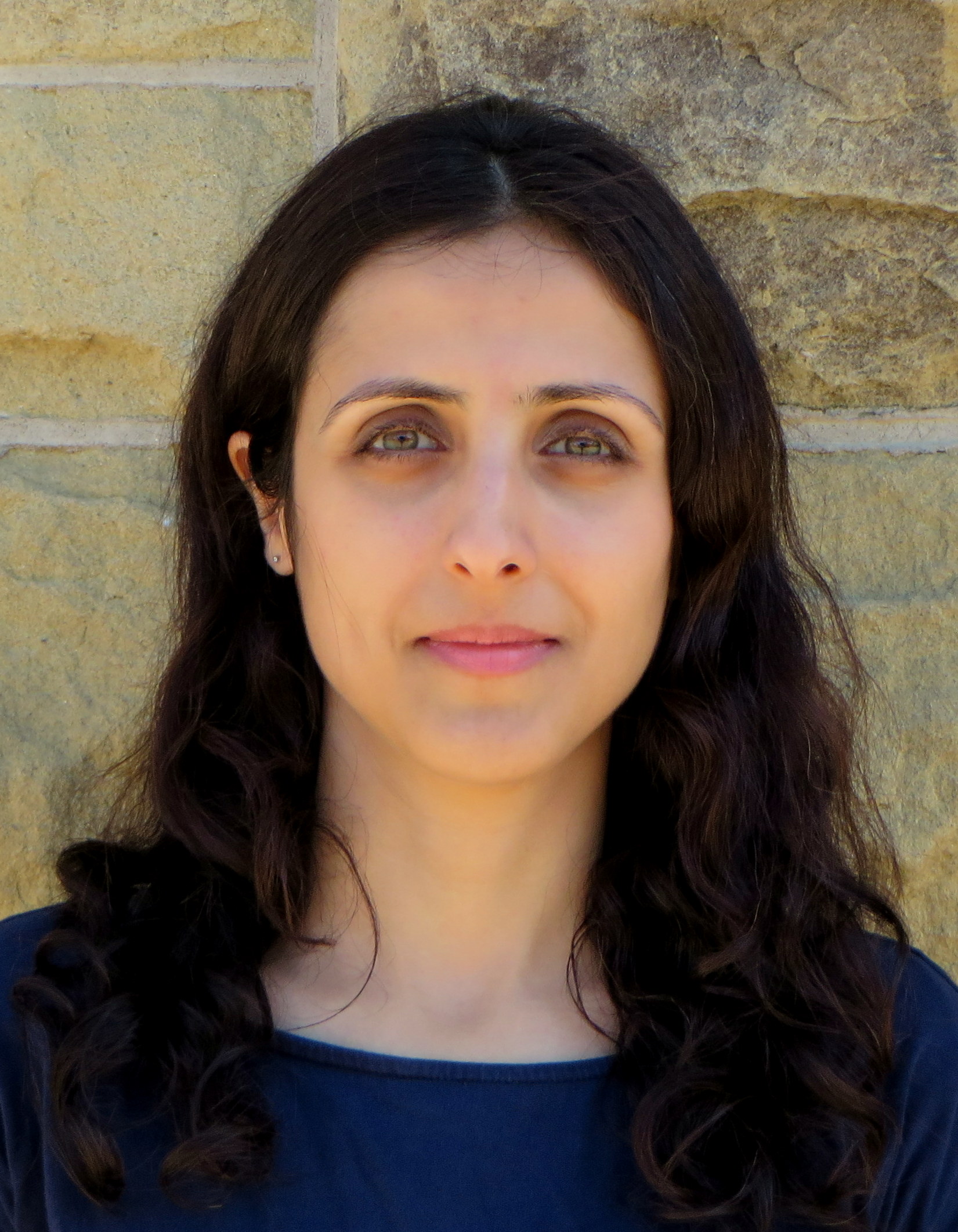 Mona rahmani assistant professor department of chemical and