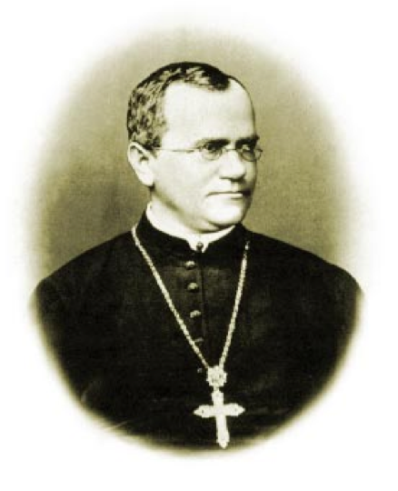 Грегор мендель. Gregor Johann Mendel. Мендель ученый. Грегор Мендель биолог.