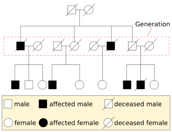 3.4 – Inheritance – The Biology Classroom