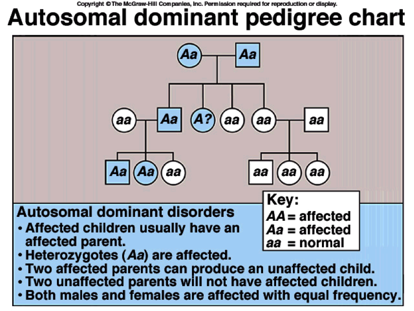 how do you know if a trait is dominant or recessive
