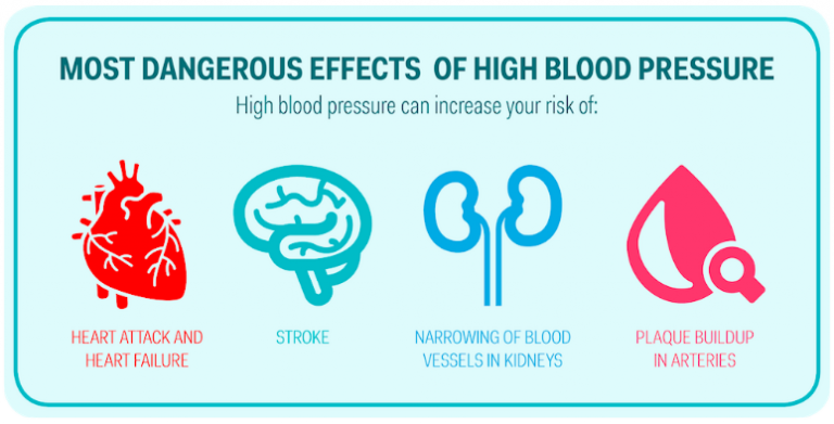 Circulatory System Part 3: Blood Pressure – The Biology Classroom