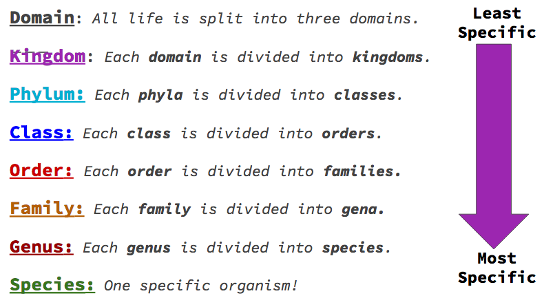 Unit 1 1 Principals Of Taxonomy The Biology Classroom