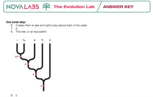 Unit 1-2: Cladistics – The Biology Classroom