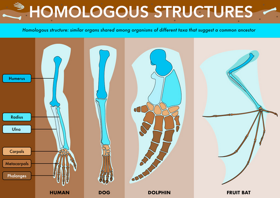 Unit 2 Quiz 1 Review The Biology Classroom