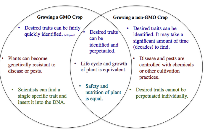 cross pollination gmo