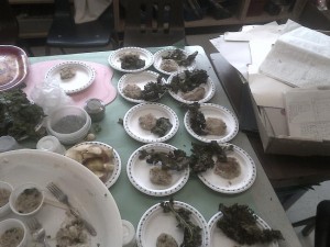 meal