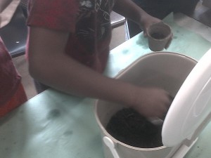 planting