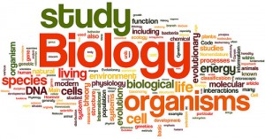 Biology 12
