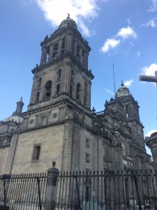 IMG_3787