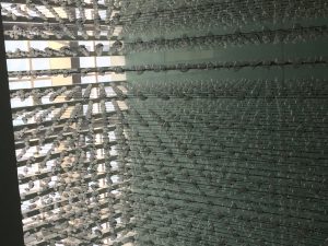 image1 (3)