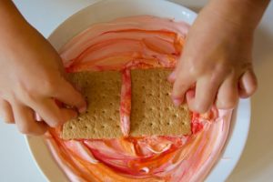 graham cracker pic